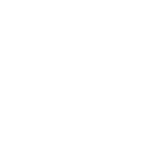 Logo of a bird with the words The Wren Missoula