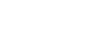 Trip Advisor Owl Logo